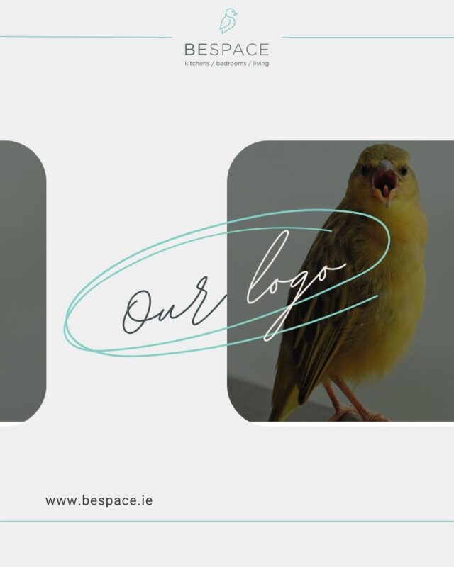 🐦 Ever wondered why there’s a bird in our logo?

Meet the weaver bird, nature’s little designer. Known for building intricate nests with care and precision, it perfectly reflects how we approach every BeSpace project ✨ 

Just like the weaver’s nest, every BeSpace design is crafted with purpose and always tailored to you 🏡

Come visit us in Blanchardstown or Stillorgan and see what BeSpace is all about 💭